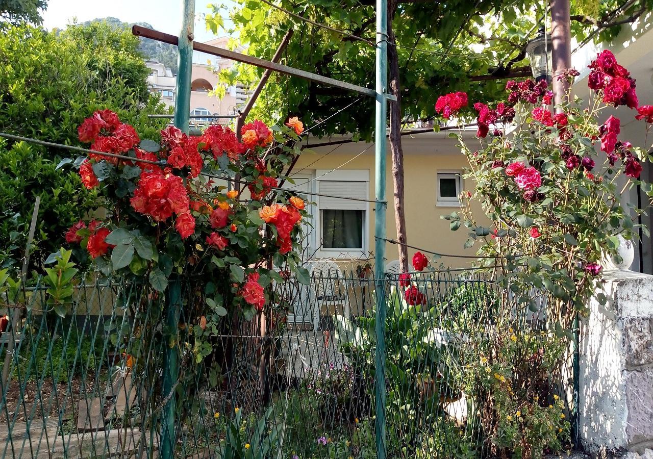 Apartman Lora 부드바 외부 사진